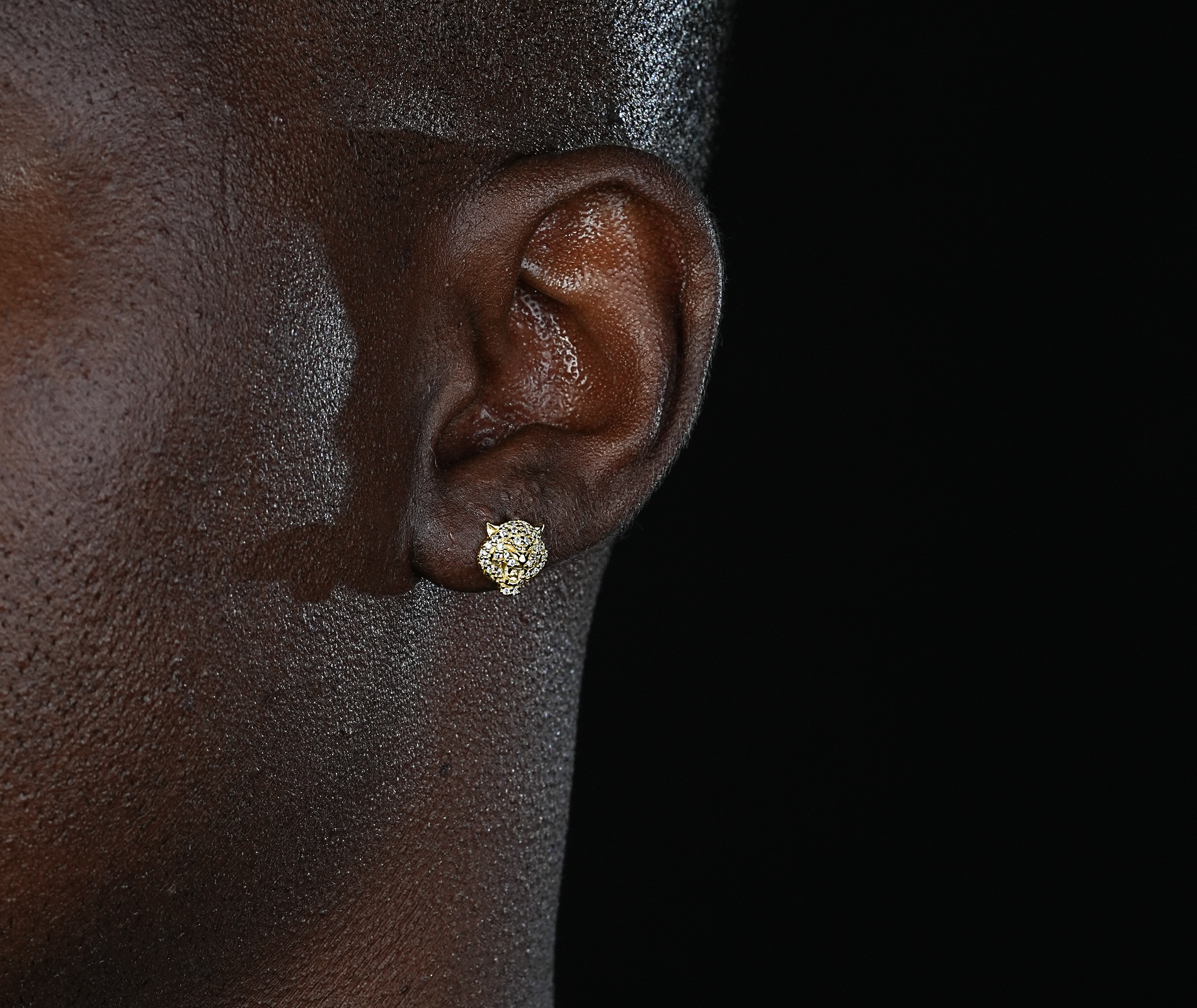 Shining Star Jewelry Mens Exquisite Sterling Silver Zircon Tiger Stud Earrings