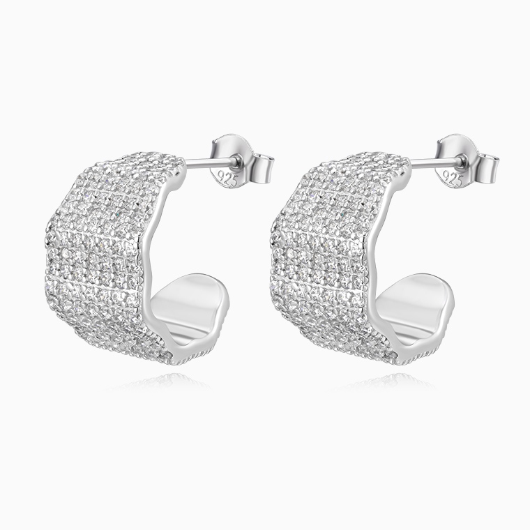 Shining Star Jewelry Trendy Women's Sterling Silver Micro pave CZ Stud Earrings