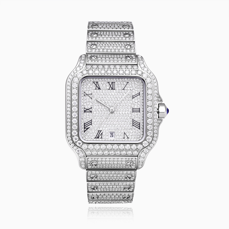 Iced Out Moissanite Mechanical Watch | D/VVS1 Stones-Shining Star