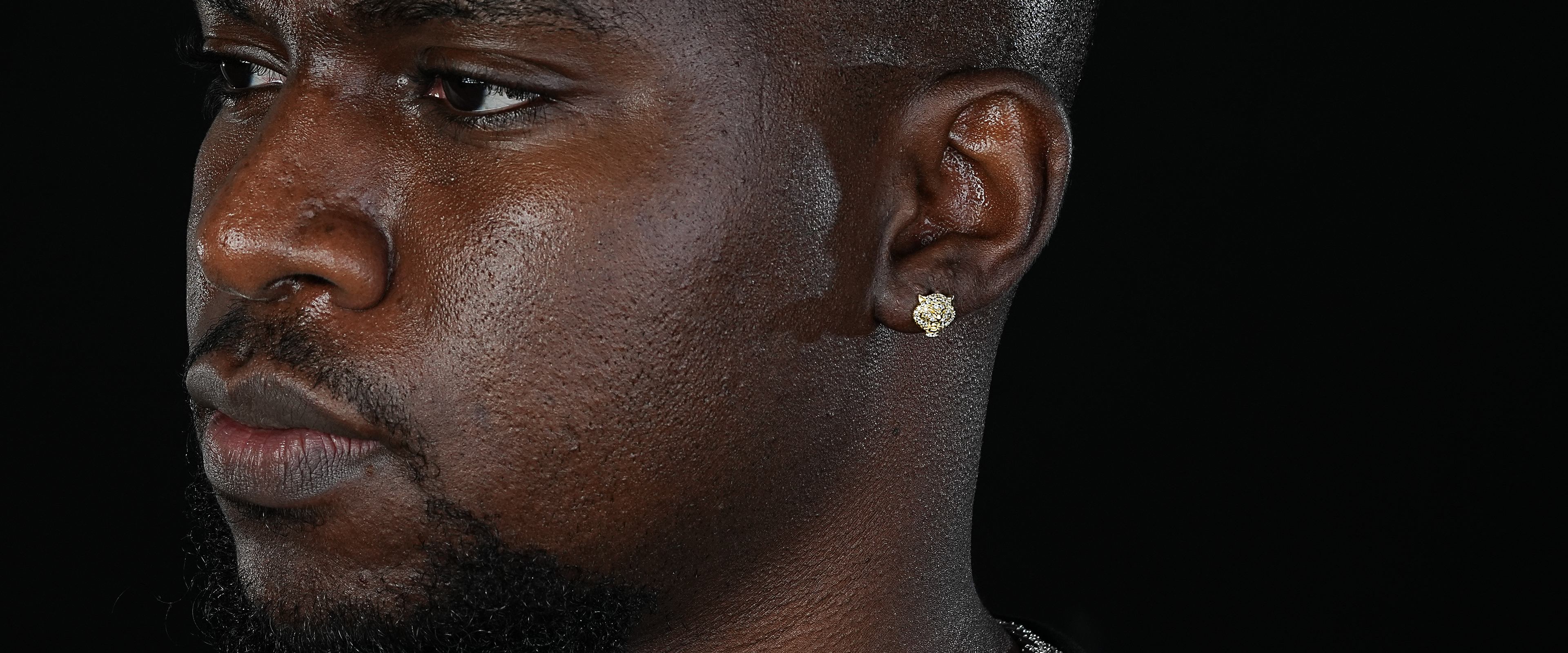 Shining Star Jewelry Mens Exquisite Sterling Silver Zircon Tiger Stud Earrings