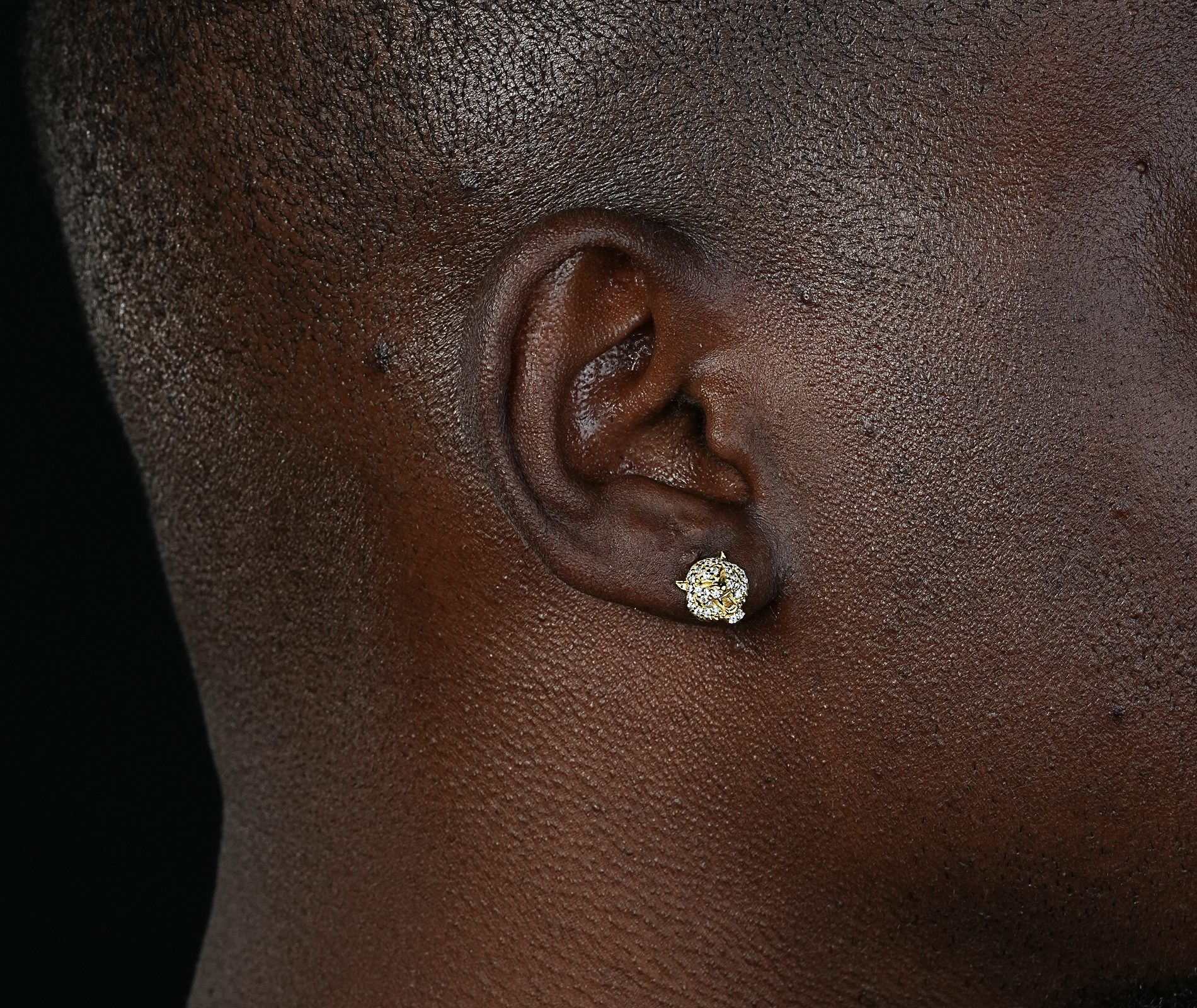 Shining Star Jewelry Mens Exquisite Sterling Silver Zircon Tiger Stud Earrings